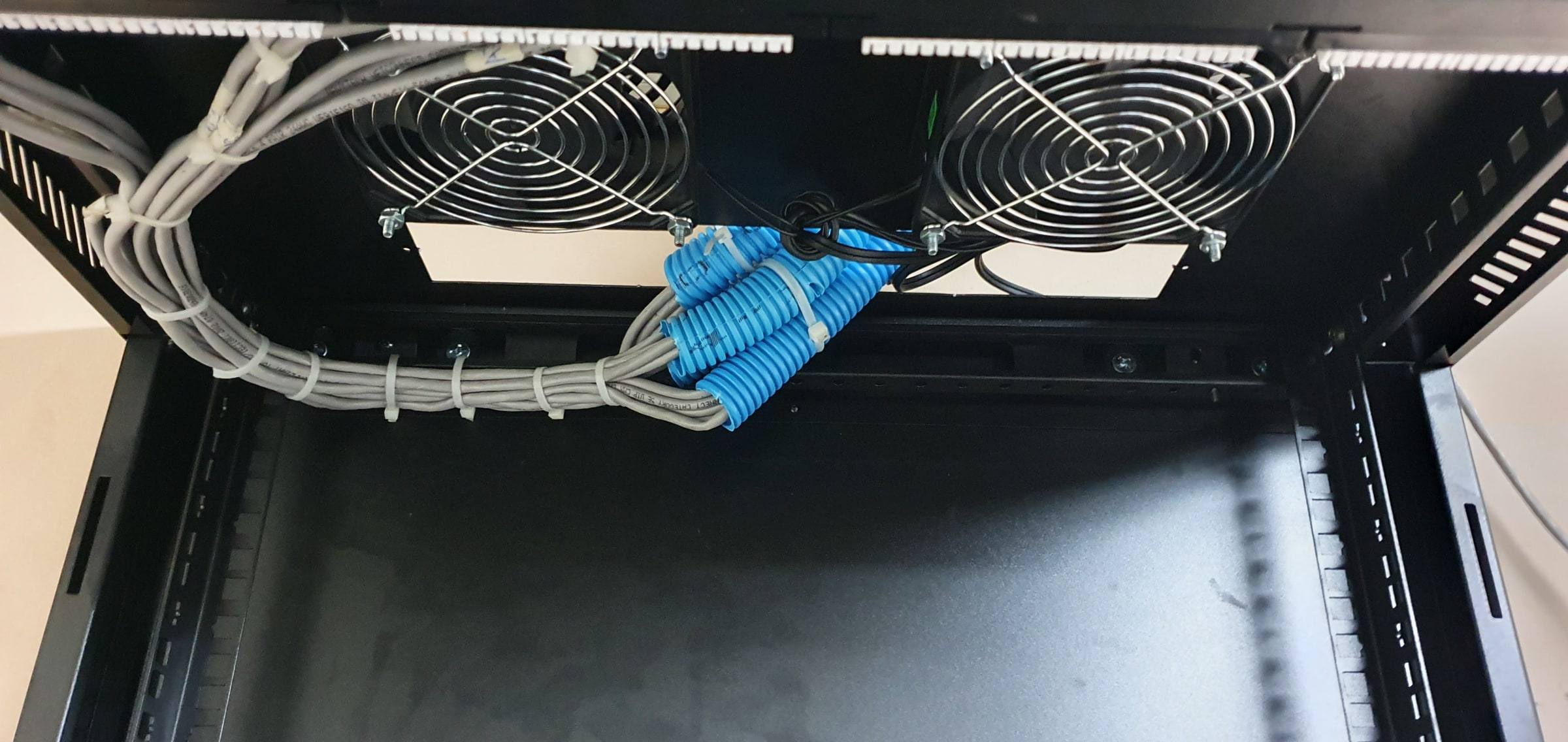 Rack cabinet interior with two cooling fans and network cabling bundled and routed through blue conduit.