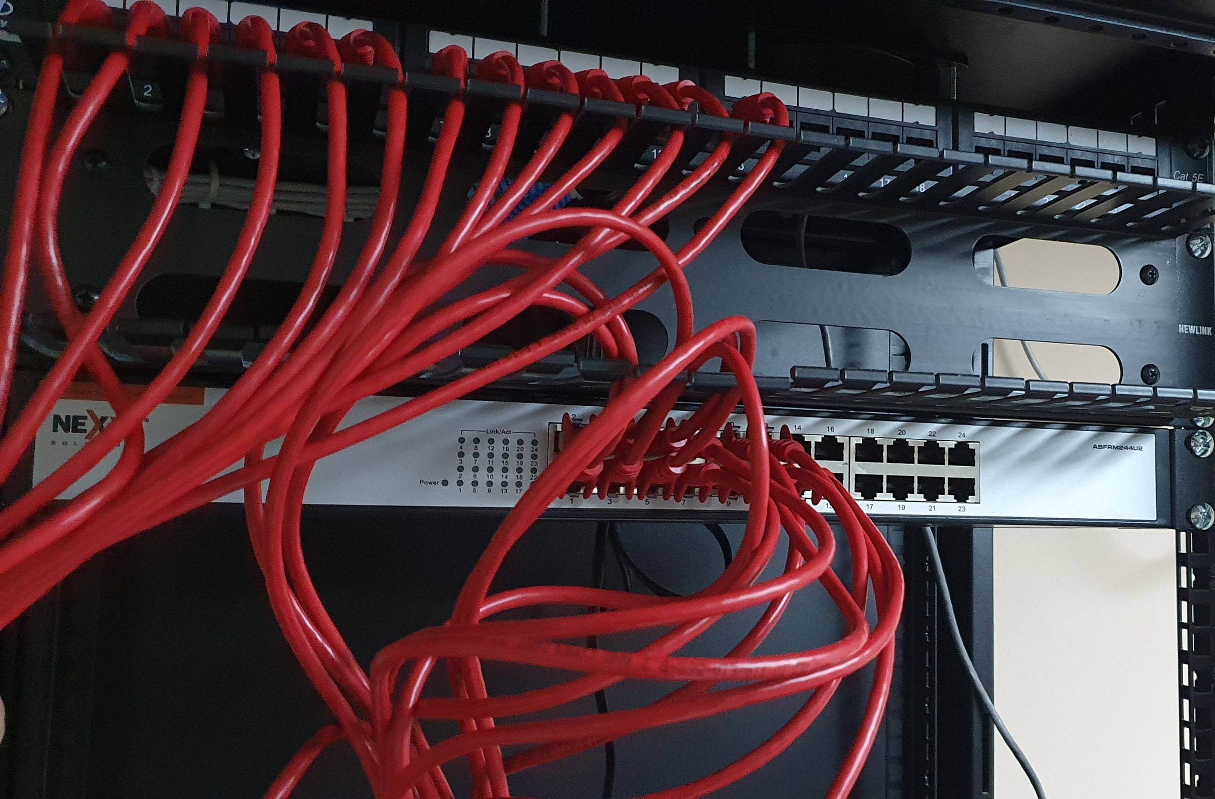 Red Ethernet patch cables connected to a rack-mounted network switch and patch panel.